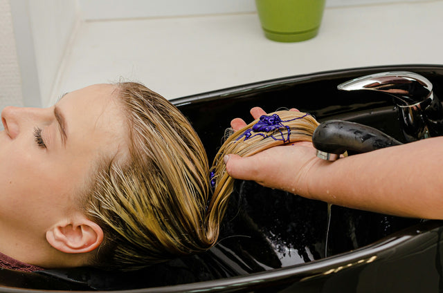 <h1>Color Care</h1>
